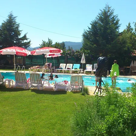 Platythea * Platy (Florina)