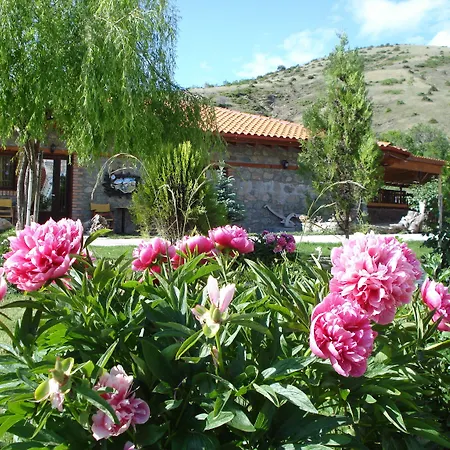Apartament Platythea *