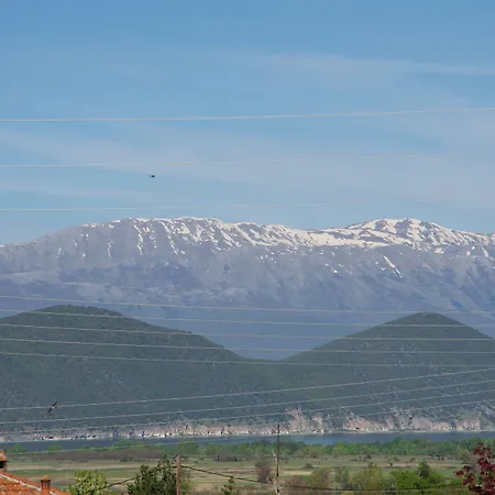 Platythea * Platy (Florina)