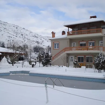 Apartament Platythea *