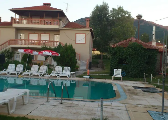 Platythea * Platy (Florina)