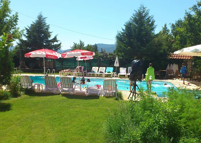 Platythea * Platy (Florina)