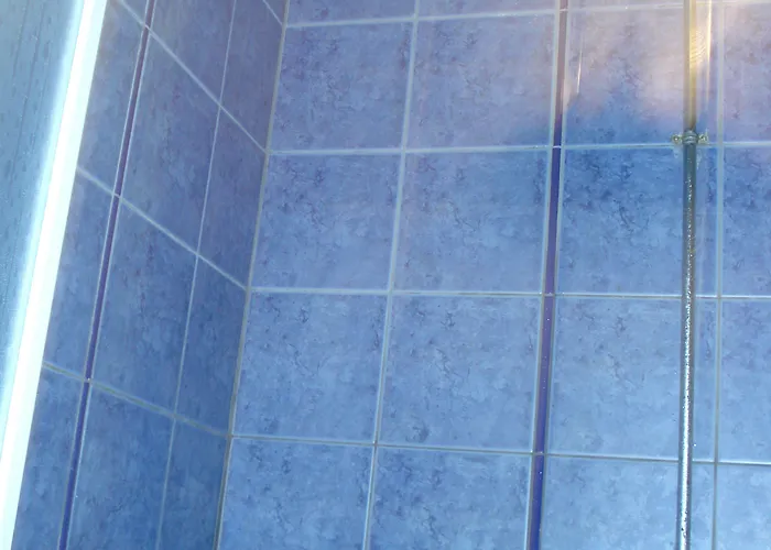 Platythea Daire Platy (Florina)