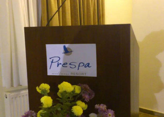 Platythea Platy (Florina)