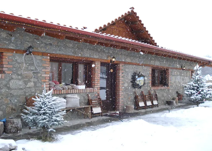 Platythea Platy (Florina)