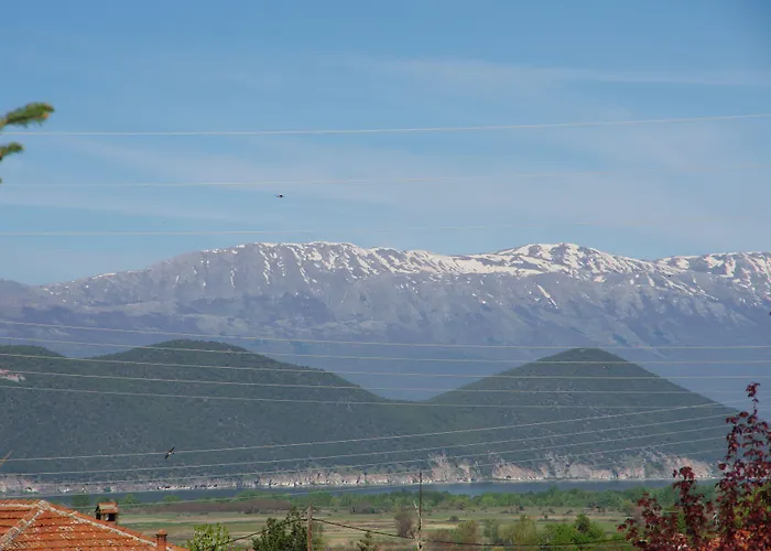 Platythea * Platy (Florina)