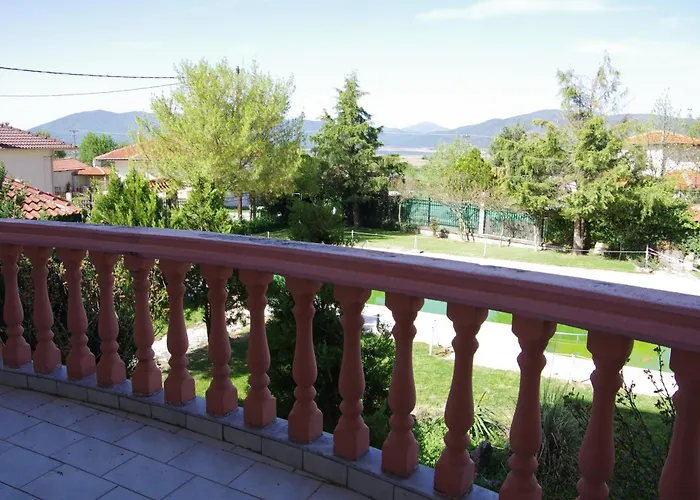 Platythea Daire Platy (Florina)